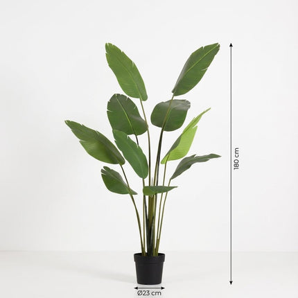 Strelitzia Nicolai Kunstpflanze 180cm – Große Paradiesvogelblume Deko Pflanze – Pflegefreie Zimmerpflanze für Wohnzimmer Büro & Empfangsbereich