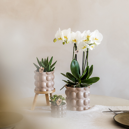 Topf Baumwolle – Sand – Ø9cm – Moderner Übertopf mit organischer Rillenstruktur – Dekorativer Keramik-Blumentopf für Orchideen & Zimmerpflanzen – Minimalistisches Designot - Sand - Ø9cm