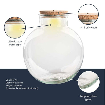 Terrarienflasche Teddy mit Korken – Ø25cm ↕26,5cm – Glasflasche aus Recyclingglas – ca. 7L Volumen – Für DIY – Terrarien & Mini – Ökosysteme