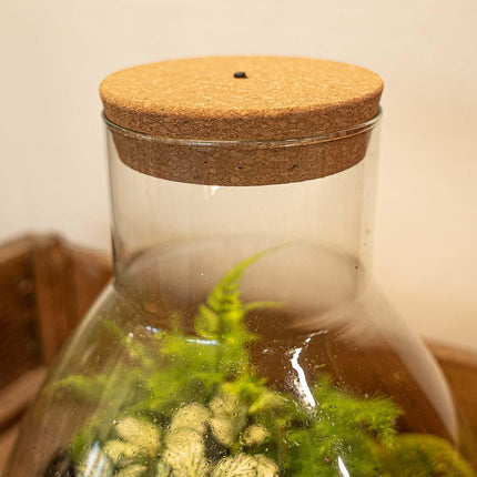 LED Korkdeckel – Kork mit Beleuchtung – LED Lampe für Terrarium 12x10,8x3cm – Warmweißes Stimmungslicht für Flaschengarten & Glasdeko