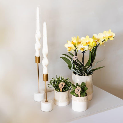 Bamboo Übertopf Travertine – Blumentopf Ø9cm – Naturfarbener Pflanztopf mit Bambusstruktur – Moderner Übertopf für Orchideen Zimmerpflanzen & Deko