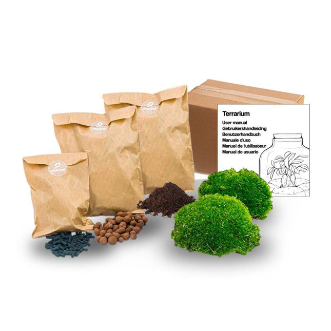 Flaschengarten – Pflanzenterrarium Nachfüllset & Starterset – DIY Komplettset – Moos, Erde, Blähton & Aktivkohle – 10-20cmØ