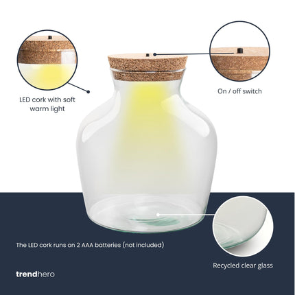 Flaschengarten – Terrarienflasche aus recyceltem Glas mit LED-Korken – Höhe 22cm Ø20cm – Dekoratives Glasgefäß mit Beleuchtung – Autarkes Pflanzenterrarium