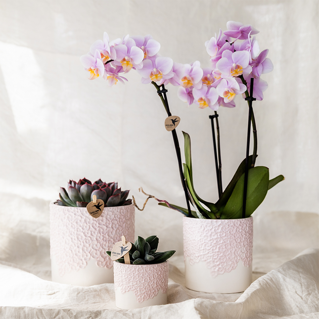 Ziertopf Bloom Pink – Blumentopf Ø9cm – Rosa Übertopf mit Blütenstruktur – Moderner Pflanztopf für Zimmerpflanzen Kräuter Sukkulenten & Deko