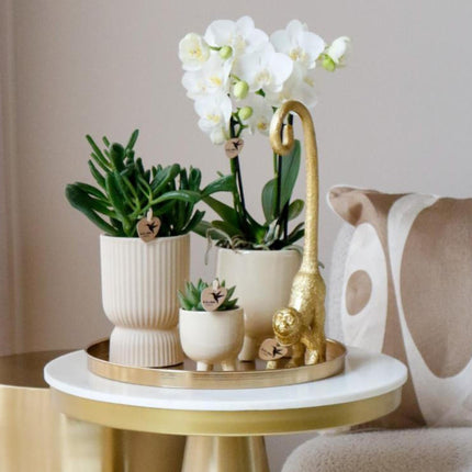 Dekoratives Tablett – Rundes goldenes Tablett Ø30cm – Metalltablett im luxuriösen Design – Vielseitiges Deko-Accessoire für Pflanzen, Kerzen & Wohndeko – Stilvolle Ablage für Wohnzimmer, Esstisch & Anrichte