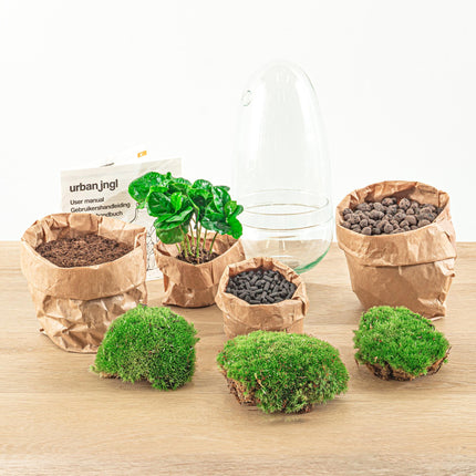 Flaschengarten Egg Coffea Arabica – DIY Pflanzen-Terrarium – Höhe 25 cm – Selbstversorgendes Mini-Ökosystem – Inkl. Moos, Erde & Pflanze – Einfacher Aufbau in 5 Schritten – Für Zuhause & Büro