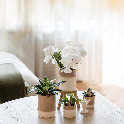 Übertopf Tree sand Ø9cm – Blumentopf mit dezentem Relief – neutraler Keramik – Übertopf für kleine Zimmerpflanzen, Orchideen & Sukkulenten