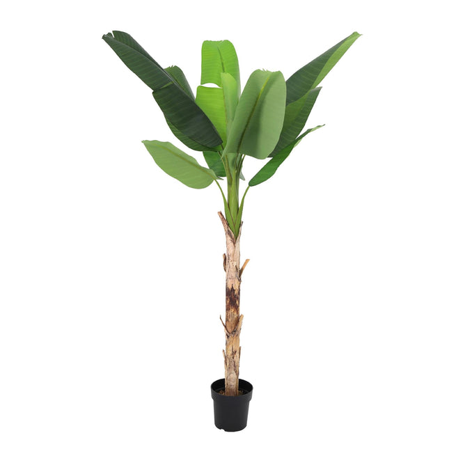 Kunstpflanze Bananenpflanze Musa190cm – künstliche Banana Plant – extra großer Kunstbaum mit realistischen XXL – Blättern – pflegeleichte Tropen