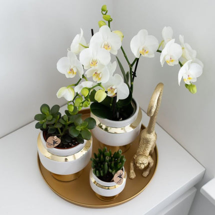 Dekoratives Tablett – Rundes goldenes Tablett Ø30cm – Metalltablett im luxuriösen Design – Vielseitiges Deko-Accessoire für Pflanzen, Kerzen & Wohndeko – Stilvolle Ablage für Wohnzimmer, Esstisch & Anrichte