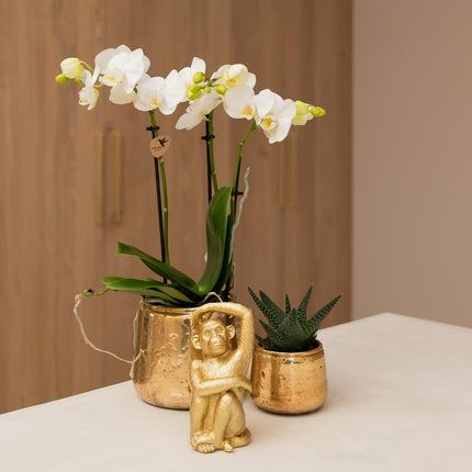 Luxuriöser Blumentopf Gold – Keramik Ziertopf Ø9cm – Glänzender Pflanzkübel für Zimmerpflanzen – Edler Deko – Übertopf in Gold