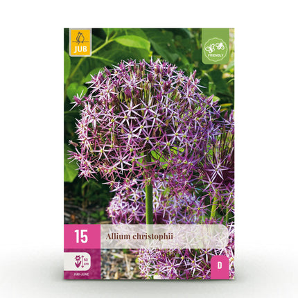 Blumenzwiebeln Allium Christophii – 15 Blumenzwiebeln – Lila Sternkugel-Lauch – Zierlauch mit sternförmigen Blüten – Für Beet, Balkon & Terrasse – Pflegeleichter Sommerblüher