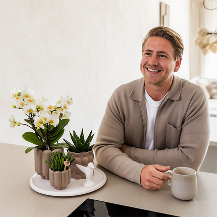 Geschenkset „Slow Living“ – Weiße Phalaenopsis Orchidee mit 2–3 Trieben & 2 Grünpflanzen – Beige Keramiktöpfe auf weißem Tablett – Dekoratives Pflanzenset für Ruhe & Entspannung