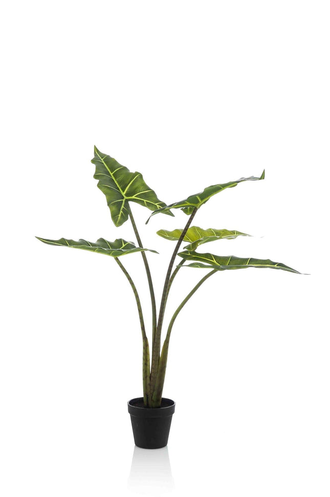 Kunstpflanze Alocasia Frydek – 80cm – Hochwertige künstliche Zimmerpflanze mit naturgetreuen Blättern – Immergrün & pflegeleicht – Dekopflanze für Wohnzimmer, Büro & Innenräume