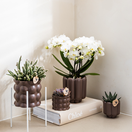 Retro Pflanztopf – Braun – Ø6cm – Dekorativer Mini-Übertopf aus Keramik – Blumentopf mit Rillenstruktur für Orchideen & Grünpflanzen