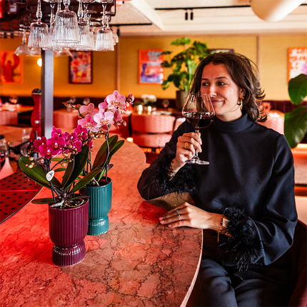 Phalaenopsis Orchidee Chamonix – Ø9cm – Violett/Bordeaux blühende Zimmerpflanze – Kräftige Orchidee mit 2–3 Trieben – Frisch vom Züchter