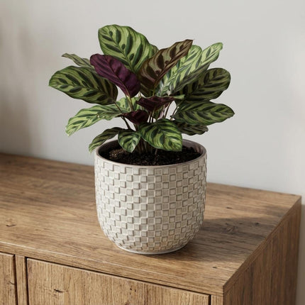 Pflanztopf Relief hellgrau D13,5cm – Blumentopf mit geometrischem Quadratmuster – strukturierte Oberfläche mit Innenrand-Kontrast – moderner Dekotopf für Zimmerpflanzen & Kräuter
