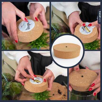 LED Korkdeckel – Kork mit Beleuchtung – LED Lampe für Terrarium 12x10,8x3cm – Warmweißes Stimmungslicht für Flaschengarten & Glasdeko