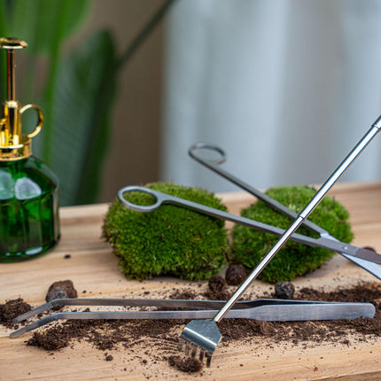 Terrarienpinzette – Edelstahl – 26cm – Lange Greifpinzette für Terrarium & Flaschengarten