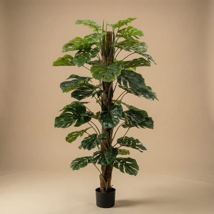 Monstera Kunstpflanze auf Ständer – ca.150cm – Künstliche Monstera mit dekorativem Standfuß – Pflegefreie Designpflanze für Wohnzimmer Büro & Empfang