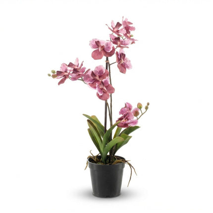 Orchidee Vanda Kunstpflanze – ca.60cm – Altrosa – Künstliche Orchidee im Topf – Pflegefreie Deko Pflanze für Wohnzimmer Büro & Empfangsbereich