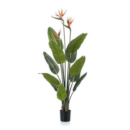 Strelitzia mit Blüten – 120cm – Kunstpflanze im schwarzen Topf – tropischer Blickfang – hochwertige Dekopflanze für Wohnzimmer, Büro & Flur – pflegeleicht