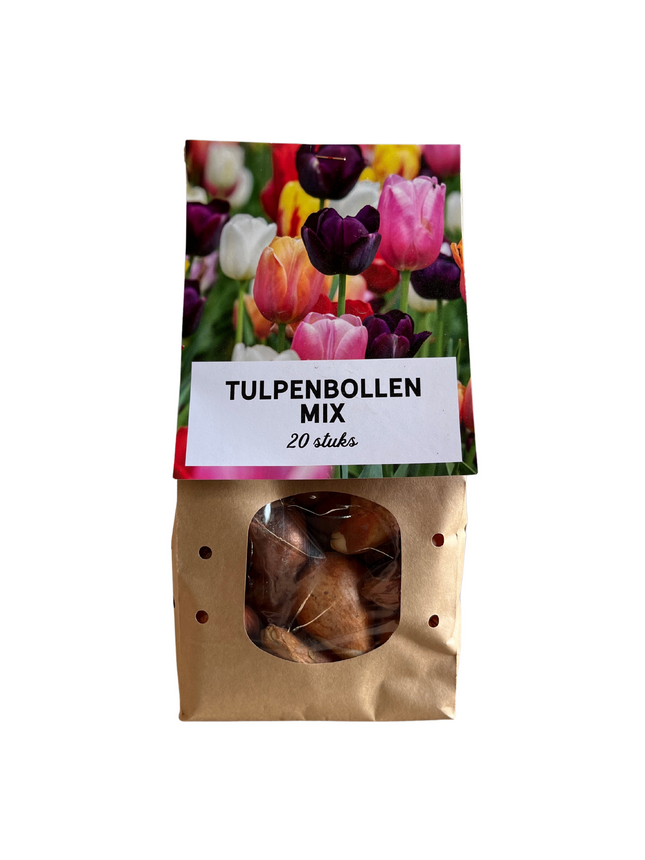 Tulpenzwiebeln Mix-Paket – 15 Beutel à 20 Zwiebeln – Insgesamt 300 Tulpenzwiebeln – Bunte Frühlingsblüher für Beet, Kübel & Vorgarten