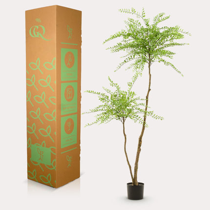 Kunstpflanze Sophora Baum – Honingbaum – 190cm – Dekorativer Zimmerbaum – Pflegeleicht – Wohnzimmer, Büro & Flur