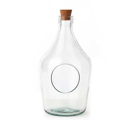 Offener Flaschengarten 3L – Glasflasche mit Kork 16×30cm – Open Bottle Garden für Sukkulenten, Kakteen & Luftpflanzen