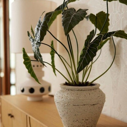 Alocasia Kunstpflanze 80cm – Tropischer Blickfang in Grün – Pflegeleicht & Realistisch – Ohne Gießen – Für Wohnzimmer, Büro & Gastronomie