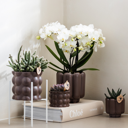 Ziertopf Cotton – Braun – Ø9cm – Blumentopf mit matter Oberfläche – Pflanztopf aus der Slow Living Kollektion – Für kleine Pflanzen & Orchideen