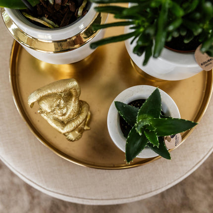 Dekoratives Tablett – Rundes goldenes Tablett Ø30cm – Metalltablett im luxuriösen Design – Vielseitiges Deko-Accessoire für Pflanzen, Kerzen & Wohndeko – Stilvolle Ablage für Wohnzimmer, Esstisch & Anrichte
