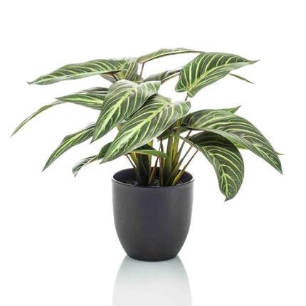 Calathea Zebrina – Korbmarante – Kunstpflanze – 42cm hoch – Schwarzer Topf Ø10–16cm – Realistisches Zebramuster – Pflegeleicht & dekorativ – Für Zuhause & Büro