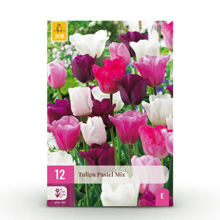 Blumenzwiebeln Tulipa Pastel Mix – Verschiedene Farben – 12 Stück – Zwiebelgröße 11/12 – Zarte Pastell-Tulpen für Garten, Balkon & Terrasse – Frühjahrsblüher