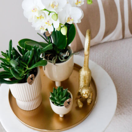 Dekoratives Tablett – Rundes goldenes Tablett Ø30cm – Metalltablett im luxuriösen Design – Vielseitiges Deko-Accessoire für Pflanzen, Kerzen & Wohndeko – Stilvolle Ablage für Wohnzimmer, Esstisch & Anrichte