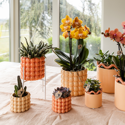 Poppy Pflanztopf – Orange – Ø9cm – Dekorativer Übertopf in Keramikoptik – Moderner Blumentopf für Zimmerpflanzen & Orchideen – Stilvolles Wohnaccessoire