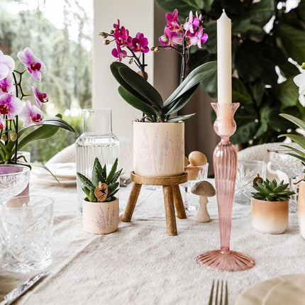 Blumentopf Lavendel Ø9cm – Pflanztopf in sanftem Violett – Für kleine Zimmerpflanzen, Kräuter, Sukkulenten & Mini – Arrangements – Stilvoll & robust
