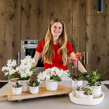 Geschenkset Love You – Rote Phalaenopsis Orchidee Congo mit Sukkulente – Love Übertöpfe auf Cloud Plate – Pflanzen Geschenkset Valentinstag Geburtstag