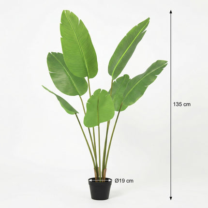 Kunstpflanze Strelitzia Nicolai 135cm – künstliche Paradiesvogelpflanze – realistische XXL – Blätter & tropische Optik – pflegeleichte Grün