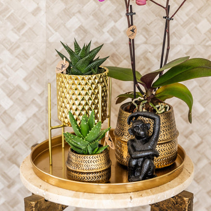 Dekoratives Tablett – Rundes goldenes Tablett Ø30cm – Metalltablett im luxuriösen Design – Vielseitiges Deko-Accessoire für Pflanzen, Kerzen & Wohndeko – Stilvolle Ablage für Wohnzimmer, Esstisch & Anrichte