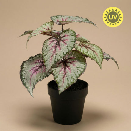Begonie Kunstpflanze – ca.26cm – UV – beständig – Künstliche Blühpflanze im Topf – Pflegefreie Deko für Innen & Außen Balkon Terrasse & Fensterbank