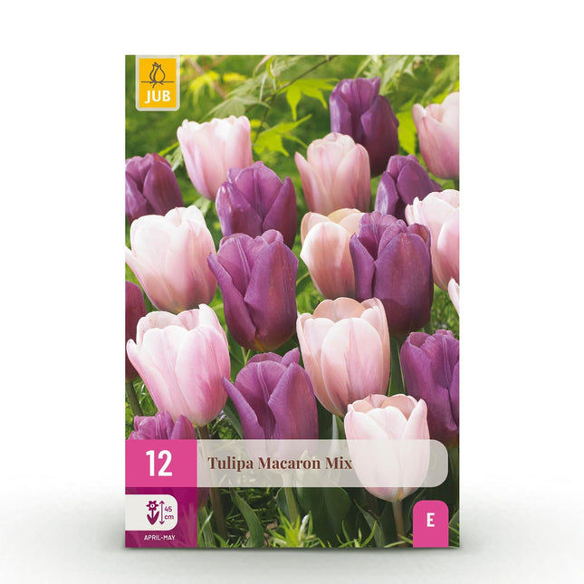 Blumenzwiebeln Tulipa Macron Mix – Verschiedene Farben – 12 Stück – Zwiebelgröße 11/12 – Bunte Tulpenmischung für Garten, Balkon & Terrasse – Frühjahrsblüher