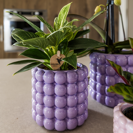 Ziertopf Poppy – Purple – Ø9cm – Moderner Keramik Blumentopf in glänzendem Violett – Stilvoller Übertopf für Zimmerpflanzen, Sukkulenten & Orchideen