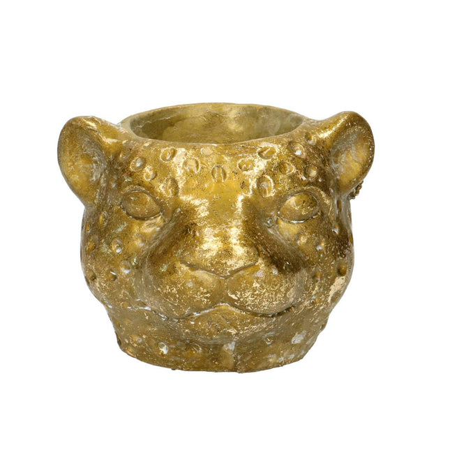 Pflanztopf Leopard Gold – D12xH9,5cm – Dekorativer Blumentopf im Leoparden – Design – Moderner Pflanzentopf für Zimmerpflanzen & Sukkulenten