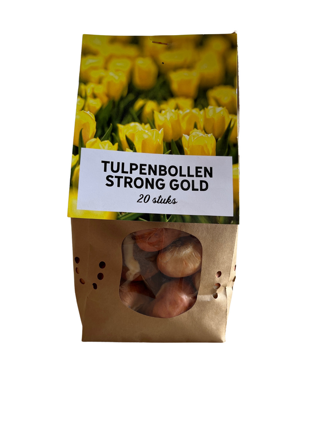 Tulpenzwiebeln 'Strong Gold' – 20 Blumenzwiebeln – Premium-Tulpen in leuchtendem Gelb – Winterharte Blumenzwiebeln aus Holland – Für Garten, Topf & Vase