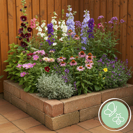 Staudenset – 8 bienen- & schmetterlingsfreundliche Pflanzen – für 1 m² – Verschiedene Blütenfarben – Wenig Pflege – Ø11cm – Mehrjährige Gartenstauden