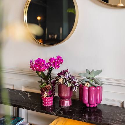 Diabolo Ziertopf Ø9cm – Blumentopf in Burgundy – Moderner Keramik-Übertopf mit Rillenstruktur & glänzender Oberfläche – Dekorativer Pflanztopf für Orchideen & Zimmerpflanzen