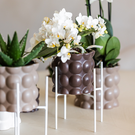 Ziertopf Cotton – Braun – Ø9cm – Blumentopf mit matter Oberfläche – Pflanztopf aus der Slow Living Kollektion – Für kleine Pflanzen & Orchideen