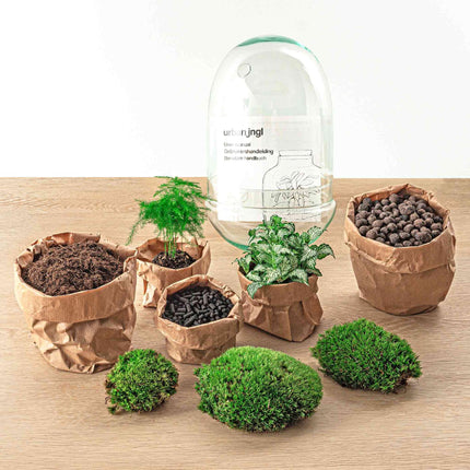 Flaschengarten Egg XL – DIY Bausatz Terrarium – ↕30cm – Do – It – Yourself Pflanzen – Set im Glas mit Korkdeckel – Autarkes Mini – Ökosystem