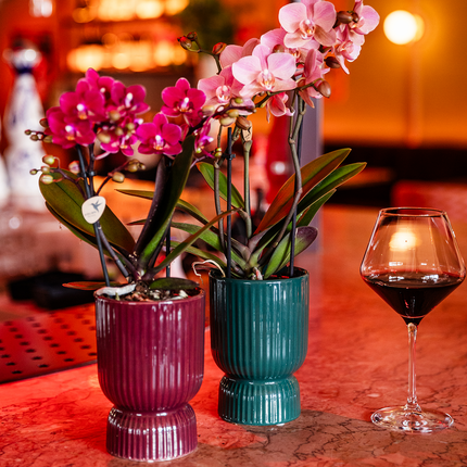 Diabolo Ziertopf Ø9cm – Blumentopf in Burgundy – Moderner Keramik-Übertopf mit Rillenstruktur & glänzender Oberfläche – Dekorativer Pflanztopf für Orchideen & Zimmerpflanzen