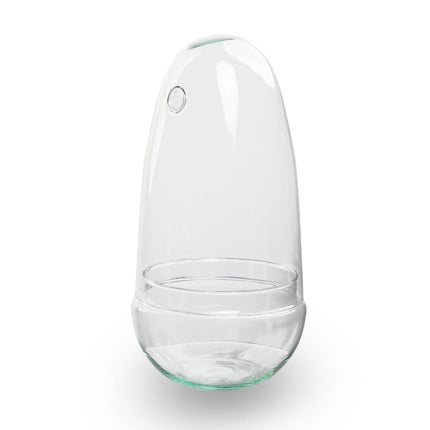 Flaschengarten Ei – Terrarium – Recyceltes Glas – ↑26cm x Ø12cm – DIY Pflanzenglas für Mini – Dschungel & Dekoration